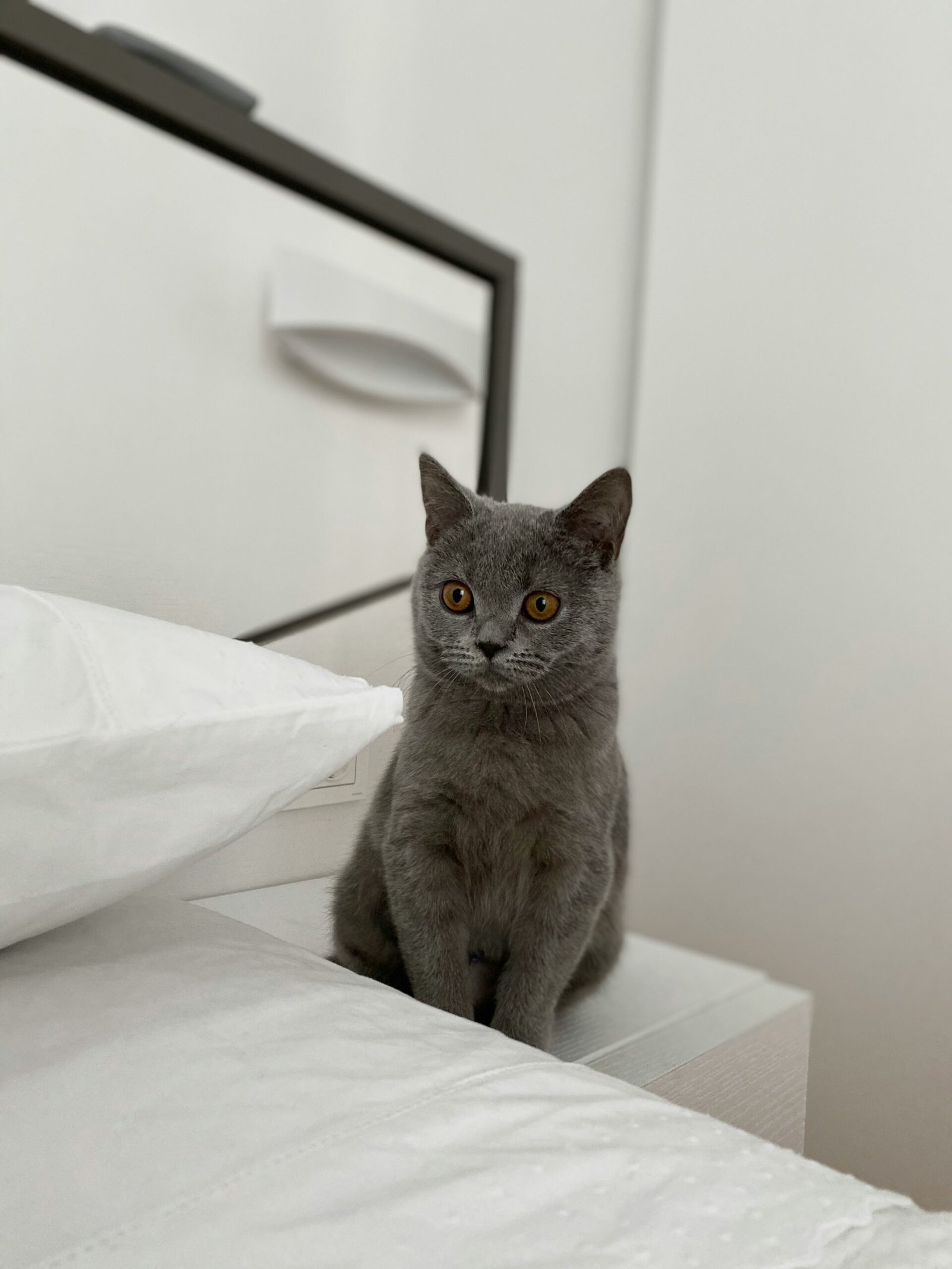 mirari-ugarte-h6YUs6SW67M-unsplash