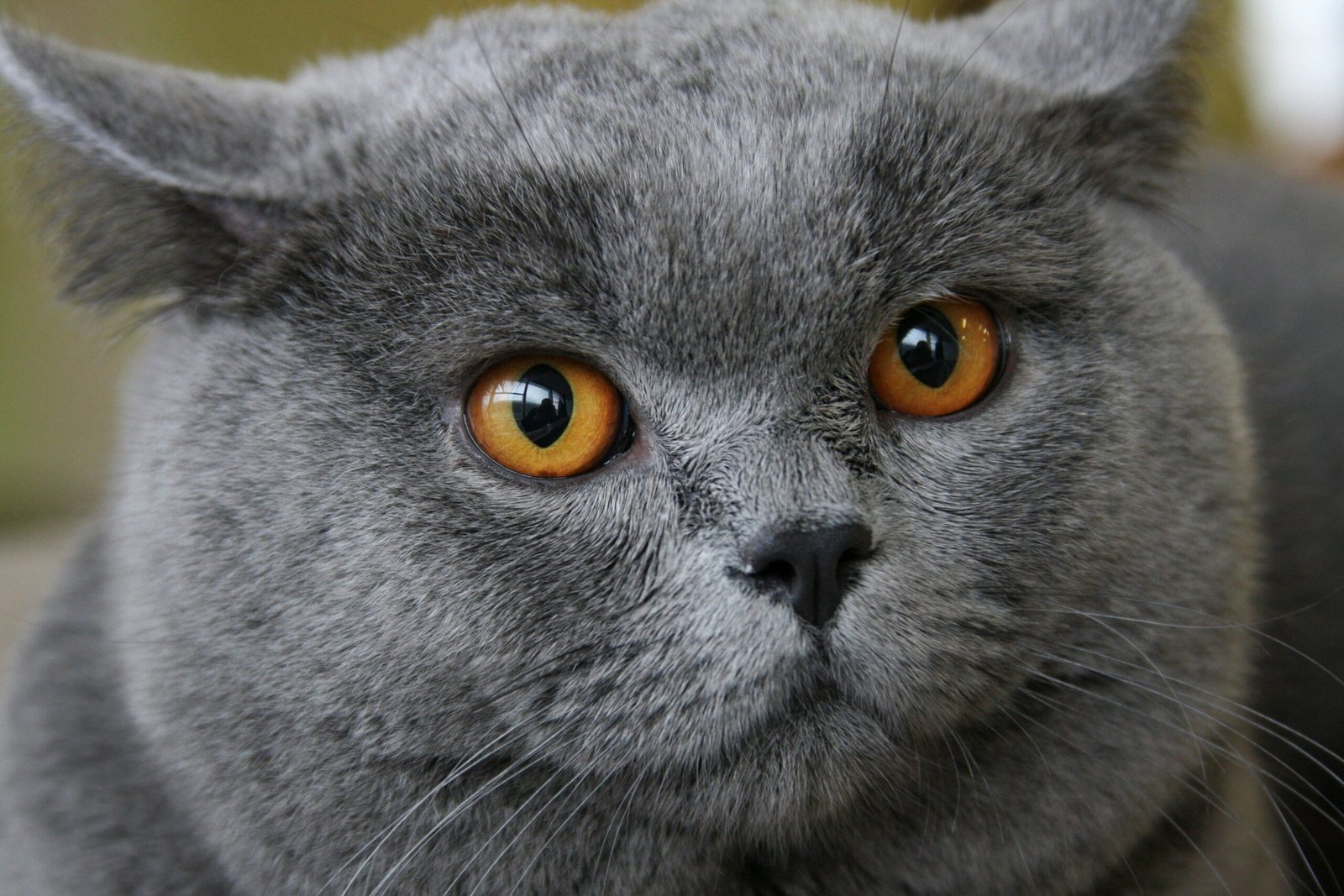 sergey-semin-3ax-f-X2nHk-unsplash